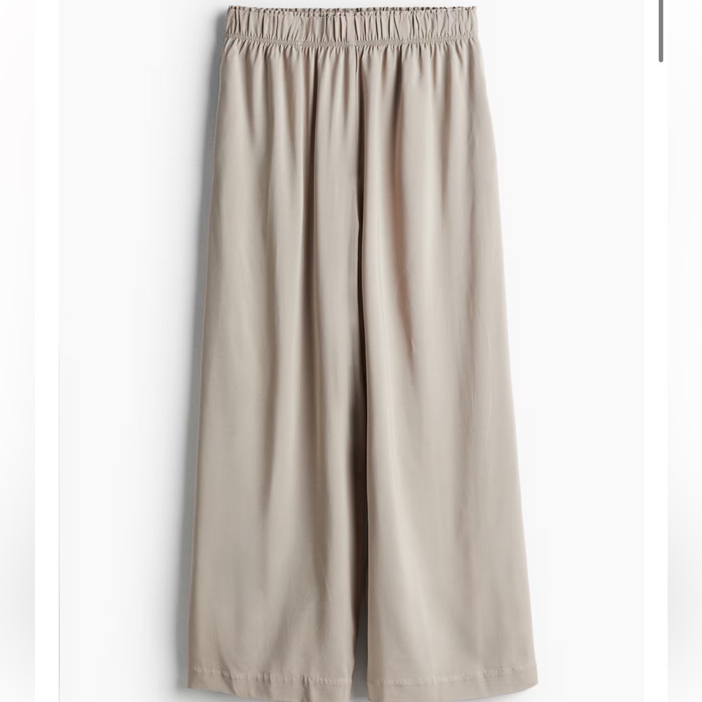 H&M pull up wide leg pants size Medium